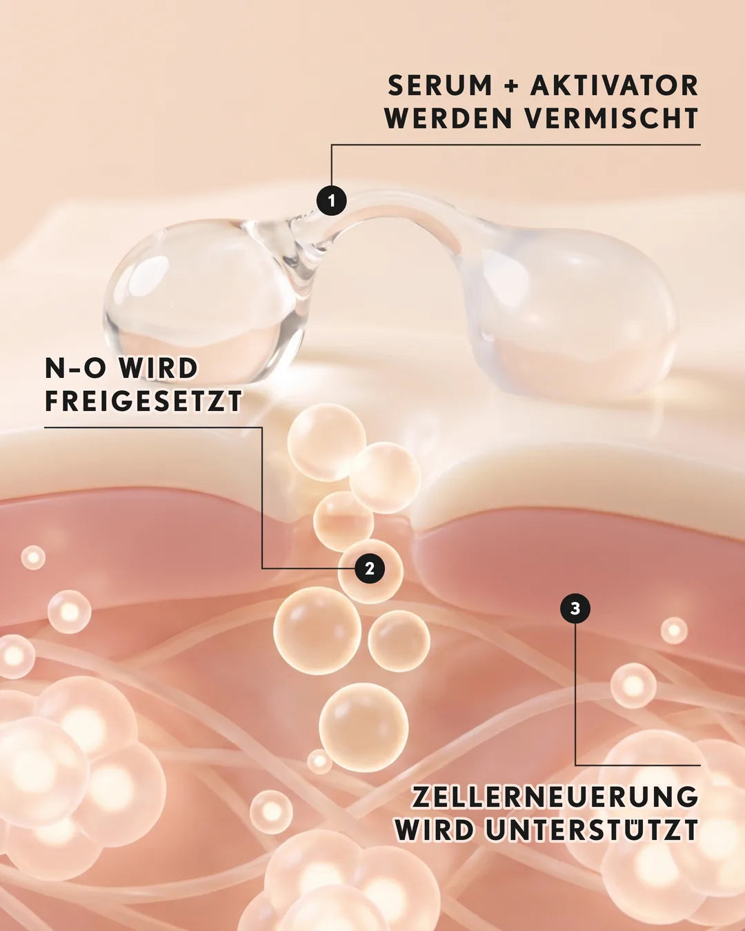 So wirkt's: Serum + Aktivator werden vermischt, N-O wird freigesetzt, Zellerneuerung wird unterstützt.
