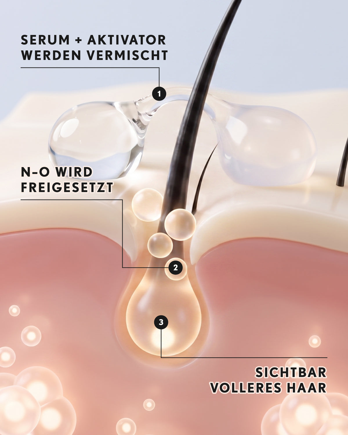 veri full hair – so wirkt’s: Serum und Aktivator werden vermischt, NO wird freigesetzt (Infografik)